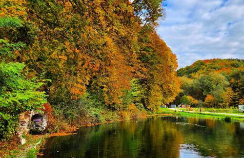 "Rózin Pstrągarnia" domki całoroczne Jura Krakowsko-Częstochowska - Foto 2