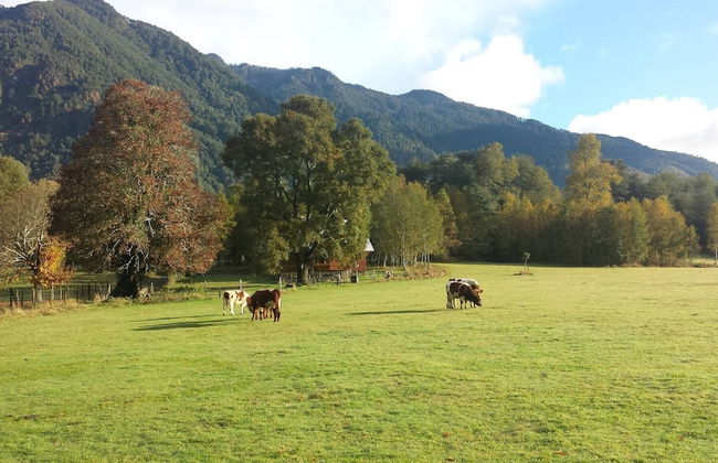 Cabana En La Pradera Lindo Paisaje En Pucon - Foto 10