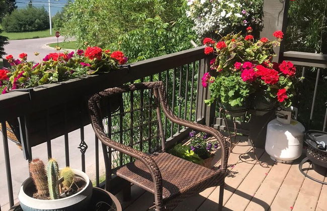 Inn on Bigfork Bay Townhouse on Bigfork Bay - Photo 10