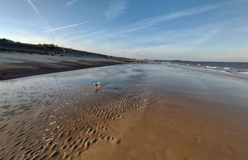 Austin Terrace - Foto 24