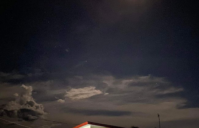 Live N Love - Photo 15