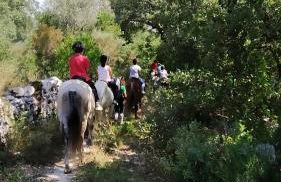 Ti Noémia - casa de vila - Foto 20