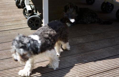 The Room 44 - Foto 56