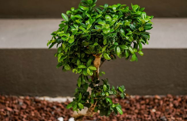 Stile Suite Family Hotel - Foto 69