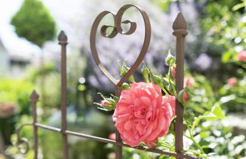 Ferienwohung Traumgarten - Foto 16