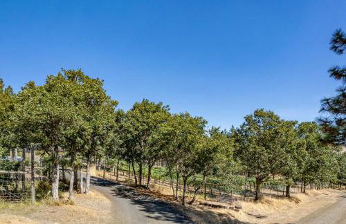 Happenstance Vineyards King Rooms - Foto 28