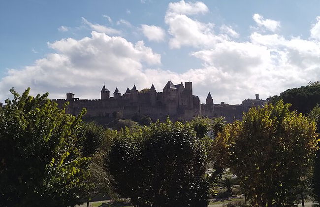 Carcassonne: Tour guidato privato esclusivo - Foto 9