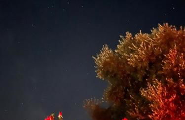 Moita Cottage - Foto 50