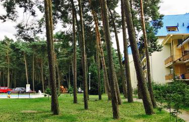 Apartamenty Platinum - Foto 52