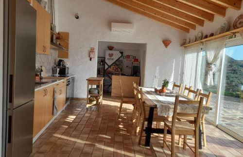 Natur Amêndoa - Foto 16