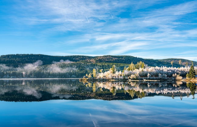 Aparthotel Sonnenburg - Foto 21