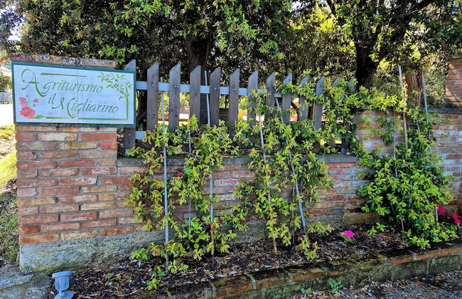 Agriturismo Il Migliarino - Foto 17