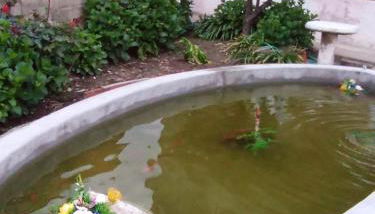 Maison Rustique - Foto 5