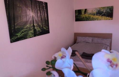 Appartement Redhouse - Foto 9