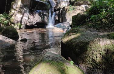 tiny house Cantal - Foto 15