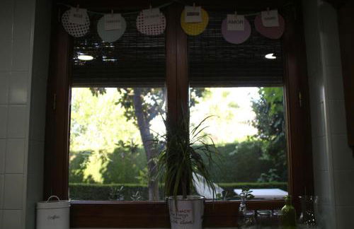 El jardín de la abuela - Foto 26