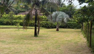 Casa da Jane - Photo 5