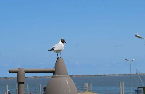 de Boer Comfortable holiday residence - Foto 14