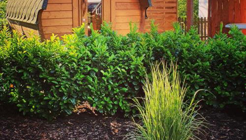 Hof Niebling - Foto 2