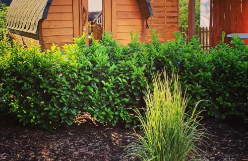 Hof Niebling - Photo 2