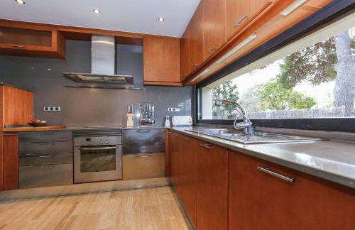 Gira-sol Planetcostadorada - Foto 6