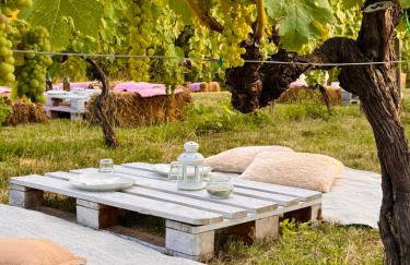 Agriturismo Verde Vigna - Foto 2