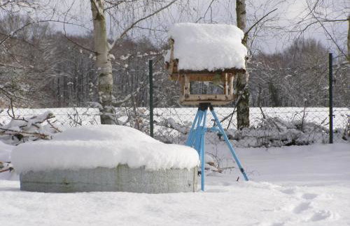 Niebieski Domek - Foto 61