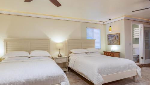 Pahoa Paradise Palms - Photo 5