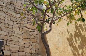 Il Trullo al Mare -Trullo by the sea- Pool & Beach - Foto 48