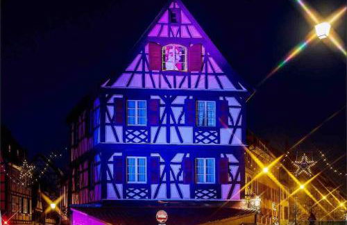 Coeur Alsace - Foto 59