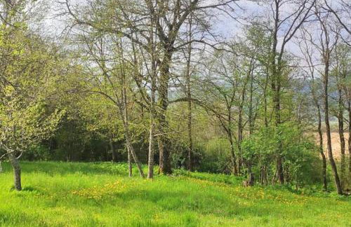 Kuca za odmor Lipa - Foto 14