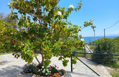 Villa Siesta gr - Foto 14