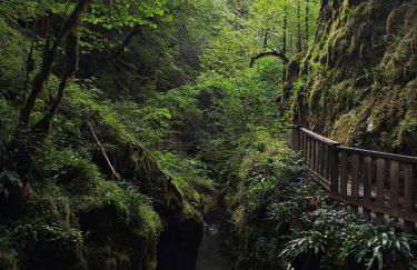 L'Oréline au cœur de la région des Lacs du Jura - Foto 38