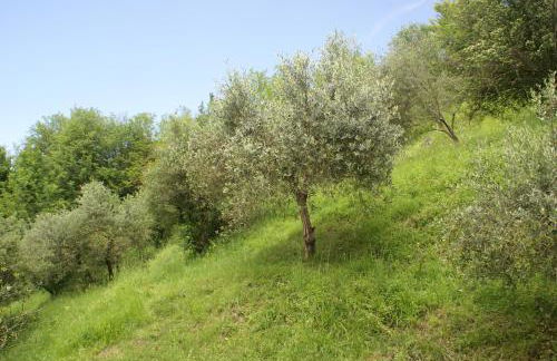 Tradizione Toscana ristrutturata nel 2021 - Foto 2