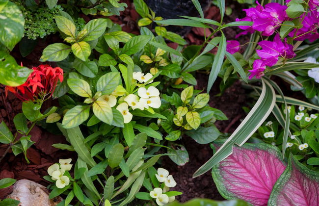 Centrally Located Guest Apartments - Foto 20