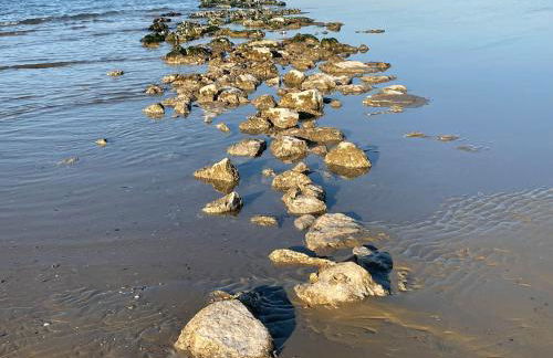 Le Ortensie in centro e vicino al mare - Foto 42