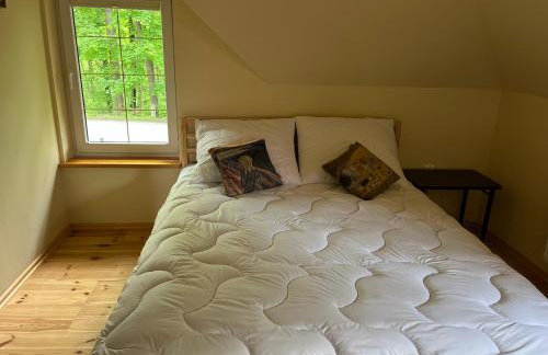 Domek Myśliwski w Spale - Foto 14