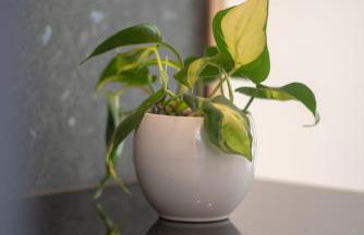 Charisma Boutique Hotel - Foto 76