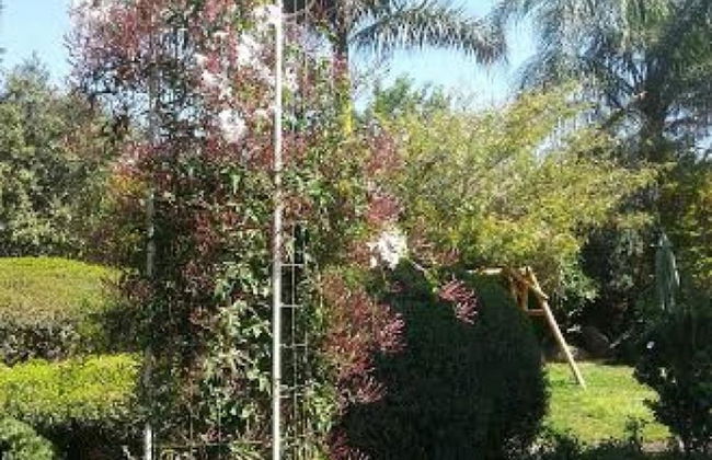 Musical Garden Cabins - Foto 22