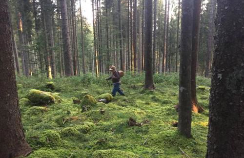 Il nido del pettirosso alloggio per coppie - Foto 40