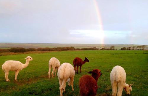 Secluded Converted Horsebox Retreat in Welcombe - Foto 5