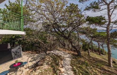 Nice Apartment In Novalja With Kitchen - Photo 5