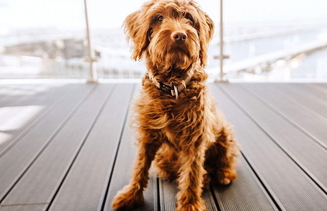6 Personen Ferienhaus in Wendtorf - Foto 20