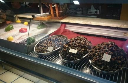 Apartamento Viveiro, Terraza Grande, 2 dormitorios 2 baños, piscinas, parking, tenis, club social - Foto 40