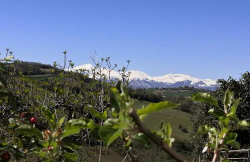 Casa di Tony - Foto 1