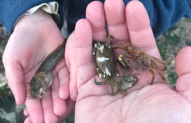 Foxes Sea Side Retreat Deluxe Chalet is a lovely holiday home tucked away on the Kent Coast - Foto 36