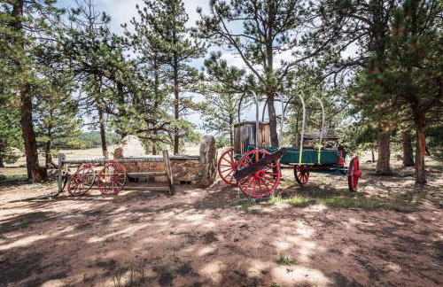 New! Charming cozy Cabin Colorado National Forest - Foto 10