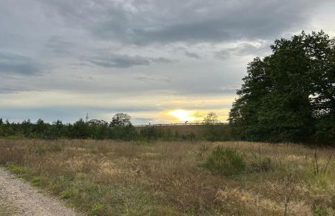 Ferienwohnung in der Schorfheide - Foto 15