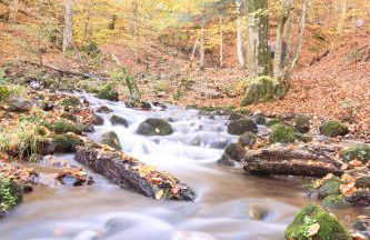 Fowo- Mangfalltal Italy Stopover near Motorway - Foto 13