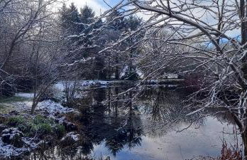 Polgwedhen Lodge - Photo 48